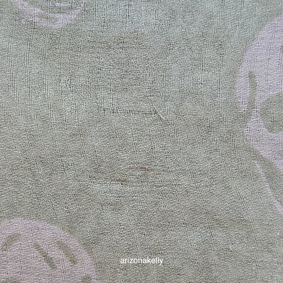 Alexander McQueen Silk Chiffon Classic Skull Scarf Sage Green - Picture 12 of 16